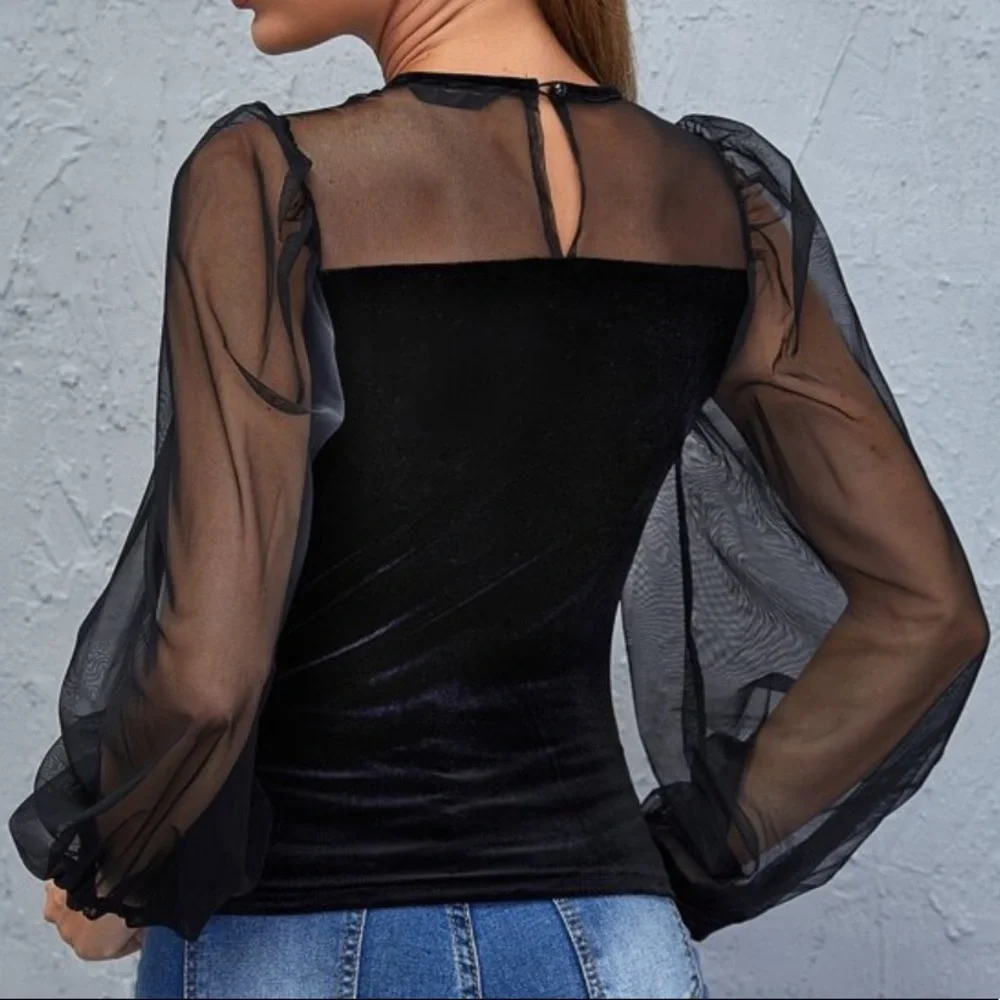 Velvet Sheer Mesh Sleeve Black Top Shirt Blouse - Picture 2 of 5